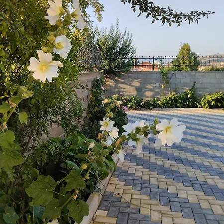 Dhoma Romantike , Qetesi Absolute! *